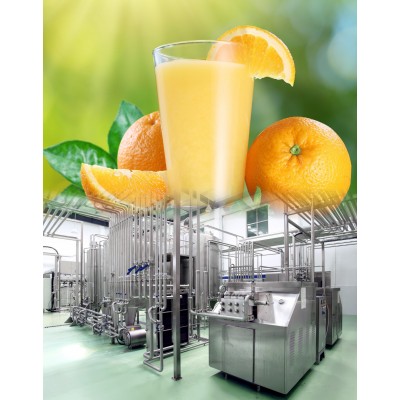 Industrial equipment vacuum degasser in juice/beverage production line